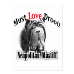 Neapolitan Mastiff Must Love Drool Post Cards
