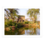 Near Babsfontein, South Africa Postcards