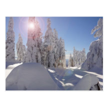 Near Jewel Lake, BC Postcard