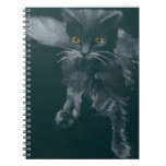 Nebbia Notebook