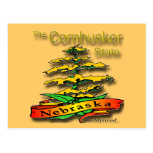 Nebraska Cornhusker State Goldenrod Post Card