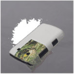 Nebraska's Nature Field Corn casemate cases