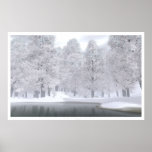 Neige de novembre posters