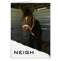 NEIGH-SAY IT ISN'T SO (BIRTHDAY) GREETING CARDS