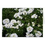 Neighbourhood Flowers Greeting Card