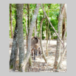 Nelgi Photograph posters