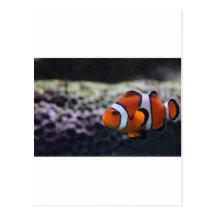 Nemo aiment le cousin cartes postales