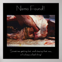 Nemo Found! Poster