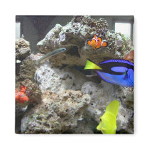 Nemo With His Gang Fridge Magnets