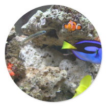 Nemo With His Gang Round Sticker