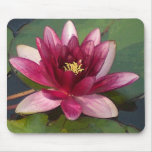 Nénuphar de Mousepad- Tapis De Souris