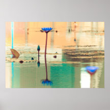 Nénuphar No2 Affiche