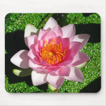 Nénuphar Tapis De Souris