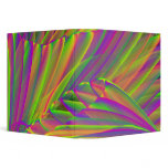 Neon Colours with Tree 3-Ring Binder