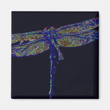 Neon Dragonfly Magnets