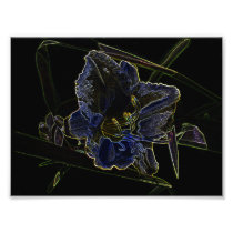 Neon Glow Daylily Flower with Glowing Edges Photograph