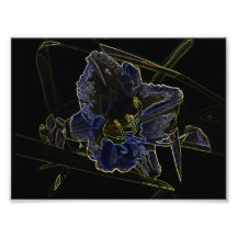 Neon Glow Daylily Flower with Glowing Edges Photograph