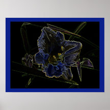 Neon Glow Daylily Flower with Glowing Edges Poster