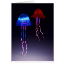 Neon Jellyfish
