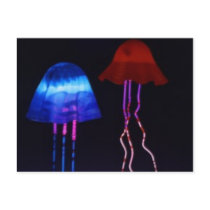 Neon Jellyfish