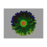 Neon Marigold Postcard