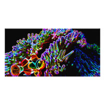 Neon Nemo Picture Card