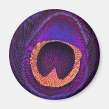 Neon Peacock Fridge Magnets