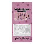 Neopolitan Mastiff DIVA Photo Card