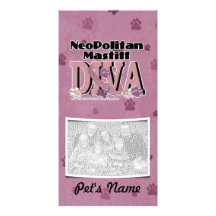 Neopolitan Mastiff DIVA Photo Card