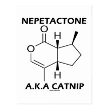 Nepetactone A.K.A. Catnip (Chemical Molecule) Post Cards