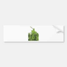 Neptunes Fountain, Alexanderplatz, Berlin,Green(1) Bumper Sticker