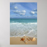 Neptune's Gifts (Seascape) Poster