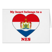 Nes Greeting Card