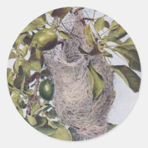 Nest of Baltimore Oriole Stickers