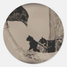 Nest of Cats Sticker