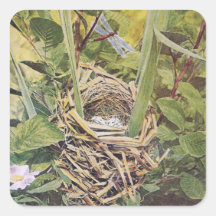 Nest of Red-Winged Blackbird Sticker