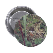 Nest of the Maryland Yellow-Throat Pins