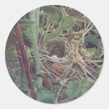 Nest of the Maryland Yellow-Throat Sticker