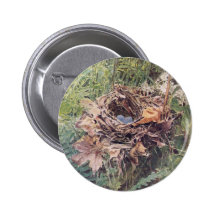Nest of Wilson's Thrush Pins