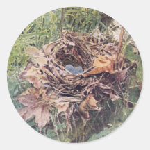 Nest of Wilson's Thrush Sticker