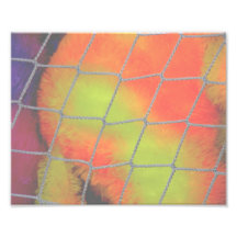 Net background with orange and yellow furry image photo