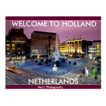 NETHERLAND oxes Postcard 
