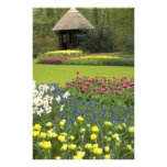 Netherlands aka Holland), Lisse. Keukenhof 5