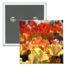 Netherlands aka Holland), Lisse. Keukenhof Pinback Button