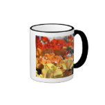 Netherlands aka Holland), Lisse. Keukenhof Coffee Mug