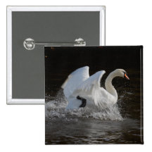 Nettoyez le cygne badge