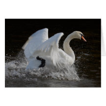 Nettoyez le cygne carte de vœux