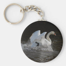 Nettoyez le cygne porte-clé