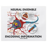 Neural Ensemble Encoding Information (Neuron) Custom Flyer