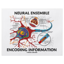 Neural Ensemble Encoding Information (Neuron)